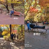 팜모닝 자유주제·자유게시판 게시글 이미지