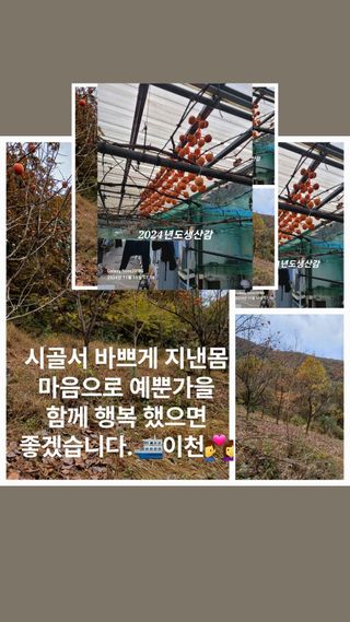 제일시스템님의 자유주제 · 자유게시판 작성글 사진