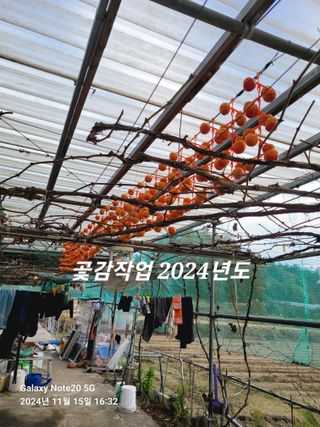 제일시스템님의 자유주제 · 자유게시판 작성글 사진