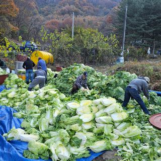 백용기님의 자유주제 · 자유게시판 작성글 사진