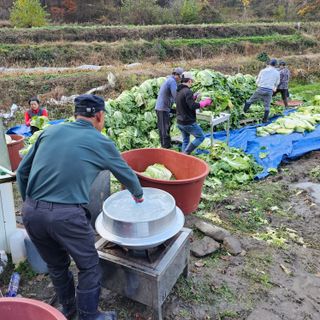 백용기님의 자유주제 · 자유게시판 작성글 사진