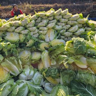 백용기님의 자유주제 · 자유게시판 작성글 사진