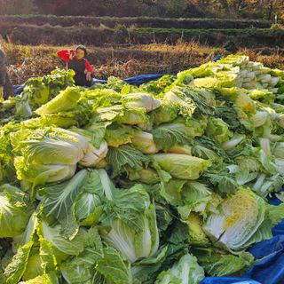 백용기님의 자유주제 · 자유게시판 작성글 사진