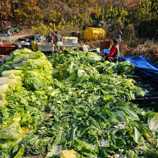 백용기님의 자유주제 · 자유게시판 작성글 사진