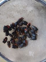 팜모닝 자유주제·자유게시판 게시글 이미지