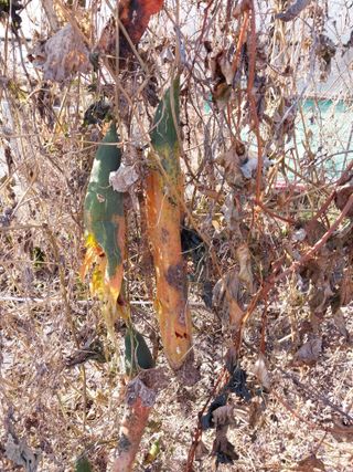 안태호님의 자유주제 · 자유게시판 작성글 사진