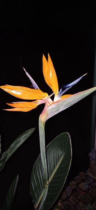 삼성농산님의 자유주제 · 자유게시판 작성글 사진