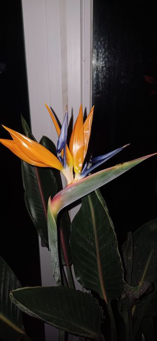 삼성농산님의 자유주제 · 자유게시판 작성글 사진