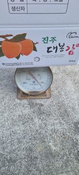 팜모닝 자유주제·자유게시판 게시글 이미지