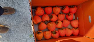 양반님의 자유주제 · 자유게시판 작성글 사진