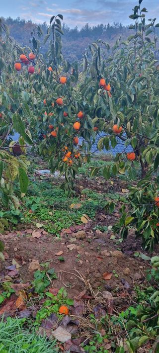 양반님의 자유주제 · 자유게시판 작성글 사진