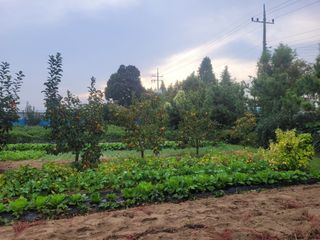 찬균park님의 자유주제 · 자유게시판 작성글 사진