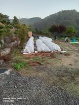 팜모닝 기타작물·영농일지 게시글 이미지