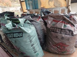 오영도님의 자유주제 · 자유게시판 작성글 사진