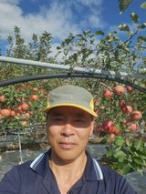 팜모닝 자유주제·자유게시판 게시글 이미지