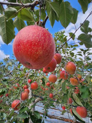 이용희 님의 자유주제 · 자유게시판 작성글 사진