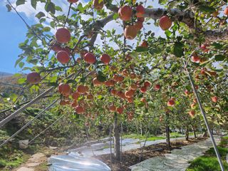 이용희 님의 자유주제 · 자유게시판 작성글 사진