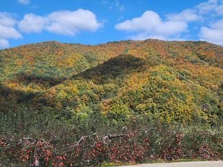 이용희 님의 자유주제 · 자유게시판 작성글 사진