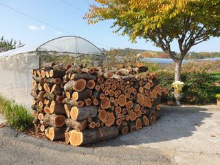 신득경님의 자유주제 · 사진전 작성글 사진