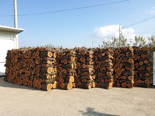 신득경님의 자유주제 · 사진전 작성글 사진