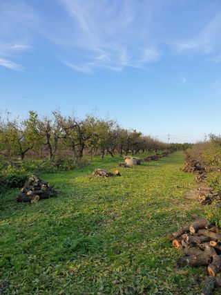 신득경님의 자유주제 · 사진전 작성글 사진