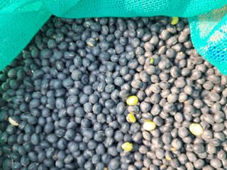 김상호님의 작성글 사진