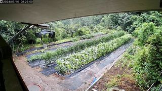 복권님의 나에게 딱 한가지 능력이 생긴다면? · 참여글 작성글 사진