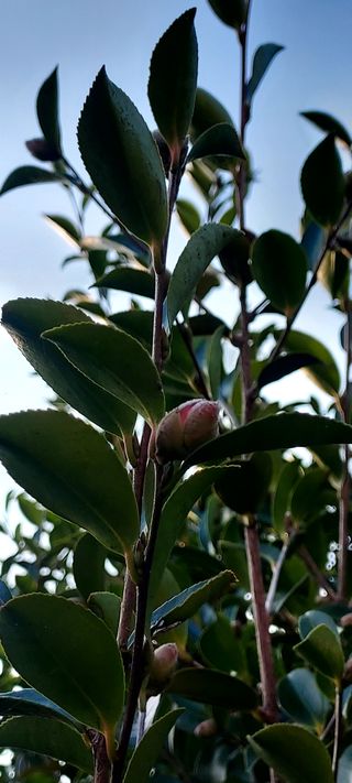 안재성님의 자유주제 · 사진전 작성글 사진