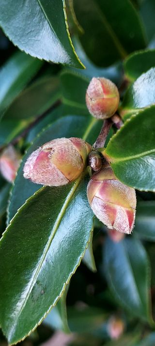 안재성님의 자유주제 · 사진전 작성글 사진