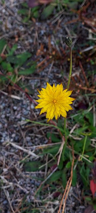 안재성님의 자유주제 · 사진전 작성글 사진