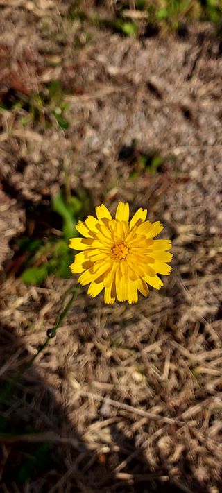 안재성님의 자유주제 · 사진전 작성글 사진