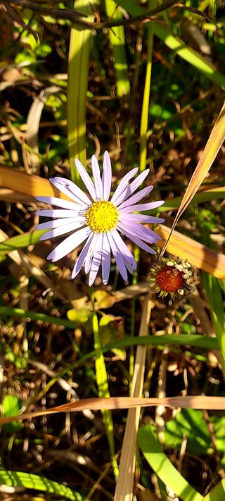 안재성님의 자유주제 · 사진전 작성글 사진
