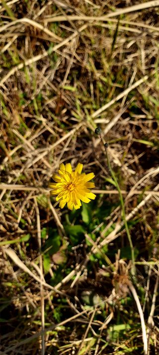 안재성님의 자유주제 · 사진전 작성글 사진