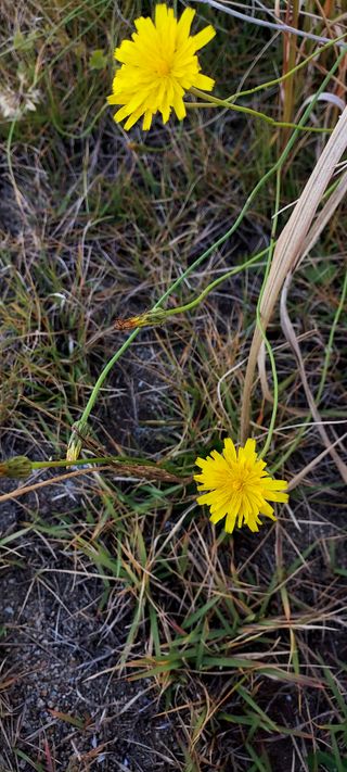 안재성님의 자유주제 · 사진전 작성글 사진
