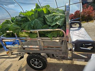 왕자농원님의 자유주제 · 자유게시판 작성글 사진