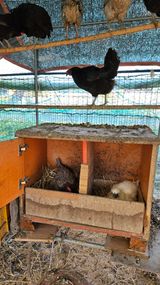 팜모닝 자유주제·자유게시판 게시글 이미지