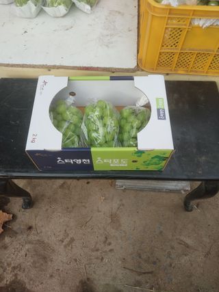 장종일님의 포도 · 자유게시판 작성글 사진