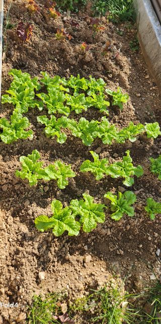 헤라여신^^♡님의 자유주제 · 자유게시판 작성글 사진