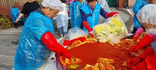 마중물0715님의 배추 · 영농일지 작성글 사진