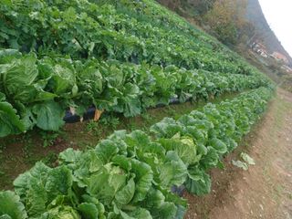 이정민님의 자유주제 · 사진전 작성글 사진