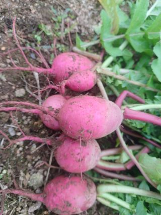 이정민님의 자유주제 · 사진전 작성글 사진