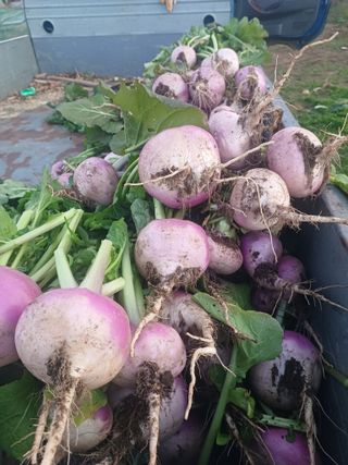 이정민님의 자유주제 · 사진전 작성글 사진