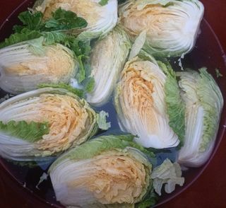 이정민님의 자유주제 · 사진전 작성글 사진