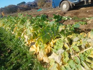 이정민님의 자유주제 · 사진전 작성글 사진
