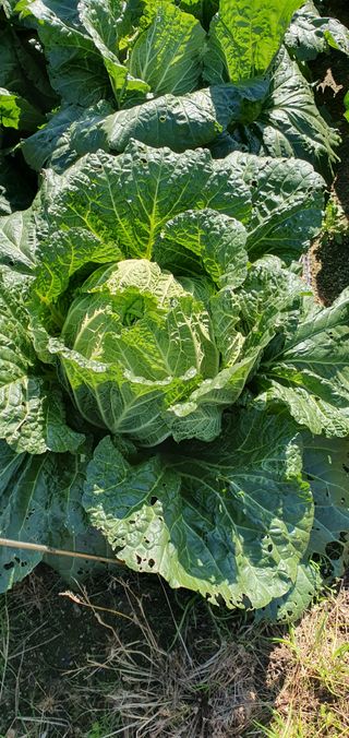 차니♥찬기님의 작성글 사진