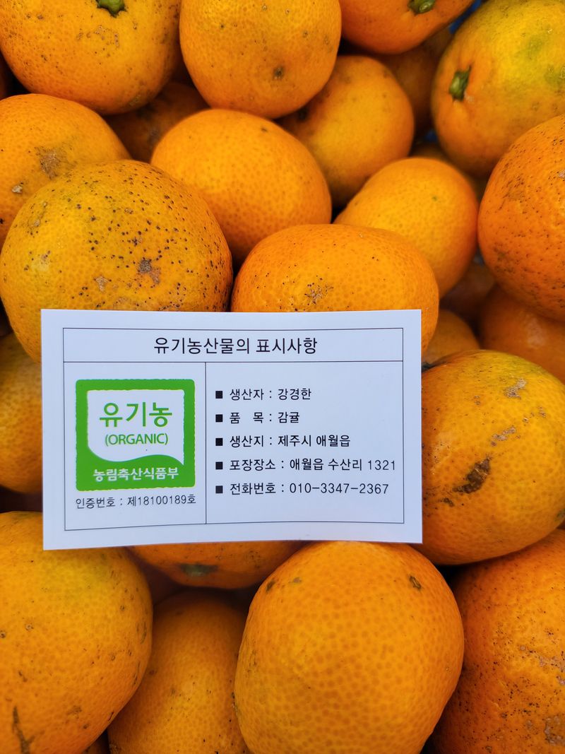 강경한님의 장터 판매 상품 [유기농귤 10kg 판매완료] 첨부 사진