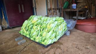 영월산지기148님의 자유주제 · 자유게시판 작성글 사진