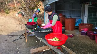 영월산지기148님의 자유주제 · 자유게시판 작성글 사진