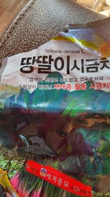 팜모닝 자유주제·자유게시판 게시글 이미지