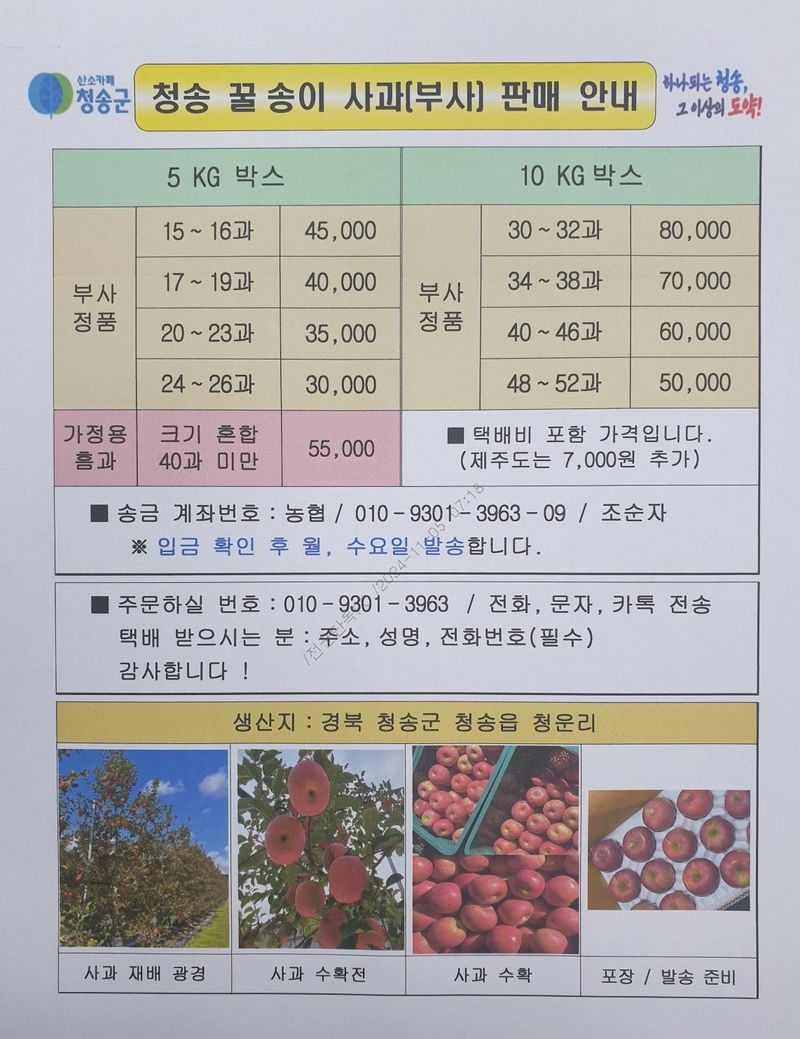 장터 상품 [사과 부사 5kg] 썸네일